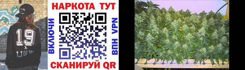 Канабис Нягань