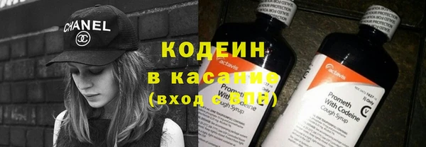 крисы Абаза