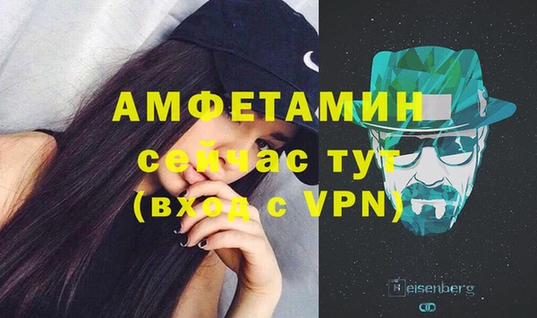 крисы Абаза