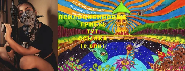 эйфоретик Абинск