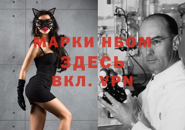крисы Абаза