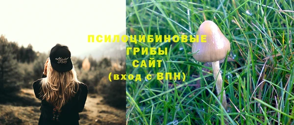эйфоретик Абинск