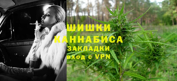 крисы Абаза