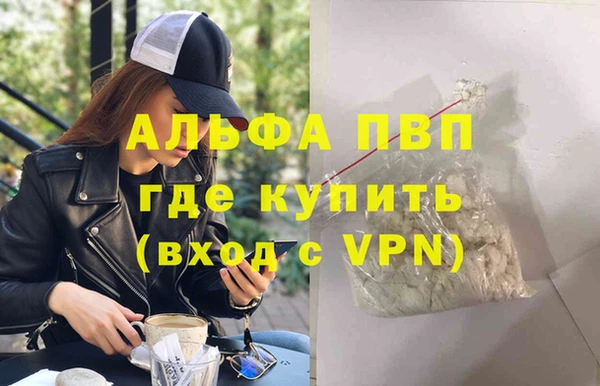 крисы Абаза