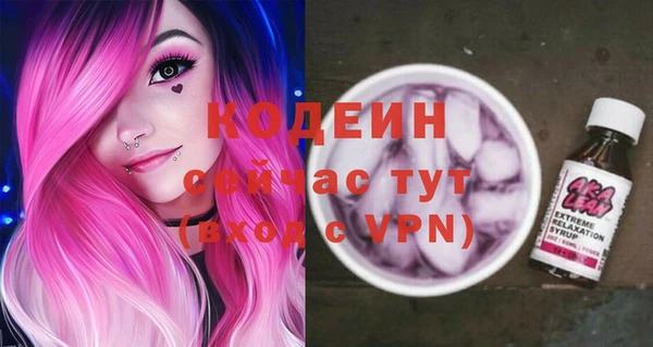 крисы Абаза