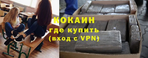 крисы Абаза