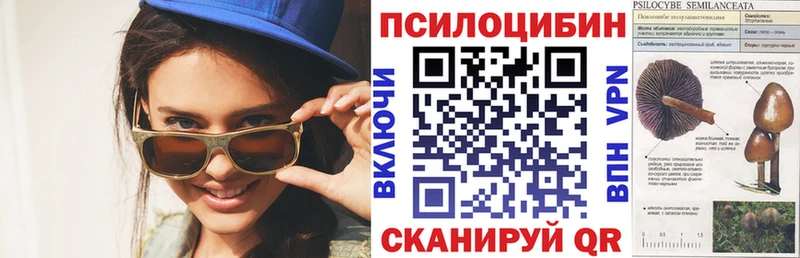где купить наркотик  Нягань  Псилоцибиновые грибы ЛСД 